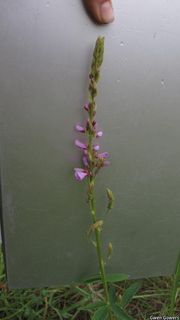 5717_DESMCAN_8061 thumbnail