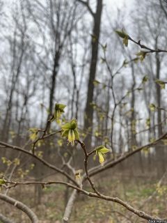 9413_DIRCPAL_507 thumbnail