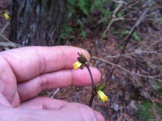 9413_DIRCPAL_509 thumbnail