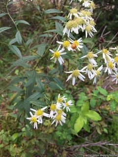 3053_DOELUMB_507 thumbnail