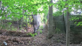 5957_FAGUGRA_8001 thumbnail