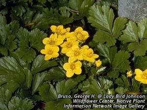 8990_GEUMFRA thumbnail