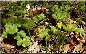 8990_GEUMFRA_14 thumbnail