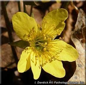 8990_GEUMFRA_15 thumbnail