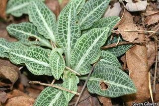 6874_GOODPUB_8001 thumbnail