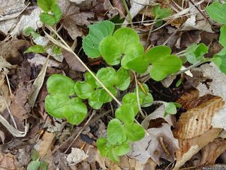 19511_HEPAAME_503 thumbnail