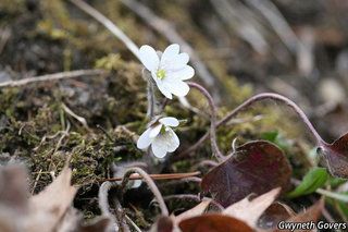 19511_HEPAAME_800 thumbnail