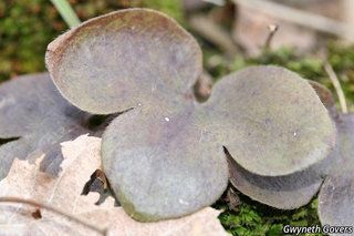 19511_HEPAAME_806 thumbnail