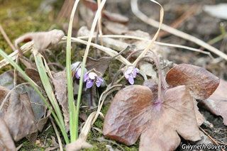 19511_HEPAAME_813 thumbnail