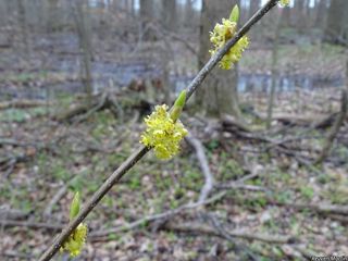 6486_LINDBEN_514 thumbnail