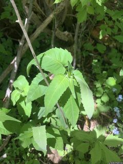 6417_MONAFIS_506 thumbnail