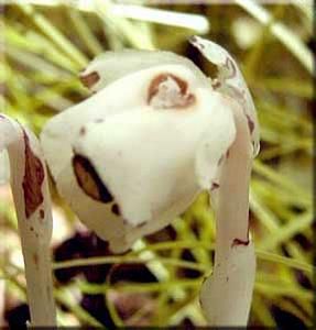 5537_MONOUNI_13 thumbnail