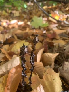 5537_MONOUNI_505 thumbnail