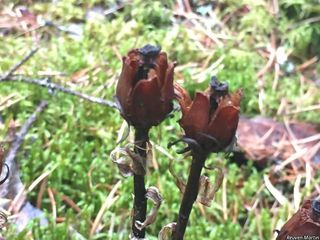 5537_MONOUNI_519 thumbnail