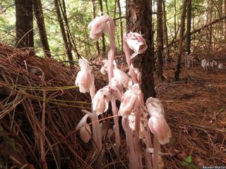 5537_MONOUNI_522 thumbnail