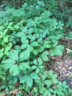 9539_PARTQUI_503 thumbnail