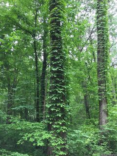 9539_PARTQUI_507 thumbnail