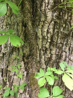 9539_PARTQUI_509 thumbnail