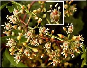 9539_PARTQUI_9 thumbnail