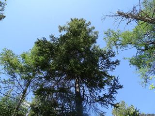 7173_PICEGLA_506 thumbnail