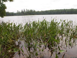 8244_PONTCOR_505 thumbnail