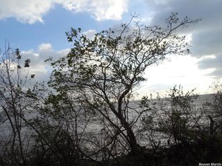 9039_PTELTRI_504 thumbnail