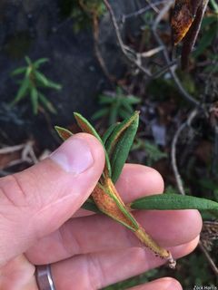 5557_RHODGRO_506 thumbnail