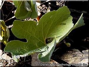 7128_SANGCAN_3 thumbnail