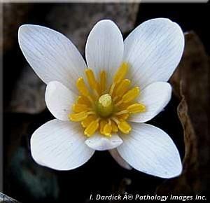 7128_SANGCAN_4 thumbnail