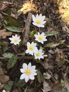 7128_SANGCAN_501 thumbnail