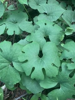 7128_SANGCAN_502 thumbnail