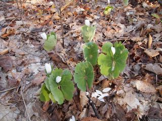 7128_SANGCAN_507 thumbnail