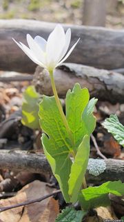 7128_SANGCAN_839 thumbnail