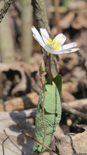 7128_SANGCAN_845 thumbnail