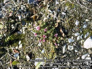 9295_SAXIOPP_7 thumbnail