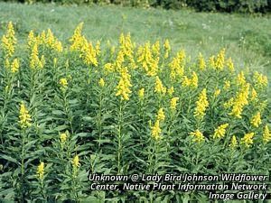 3445_SOLICAN_5 thumbnail