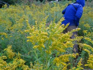 3445_SOLICAN_500 thumbnail