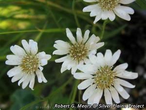 3472_SOLIPTA_2 thumbnail