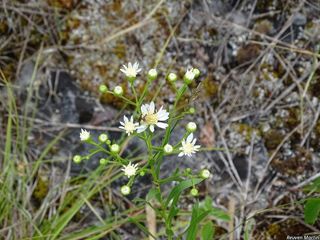 3472_SOLIPTA_502 thumbnail