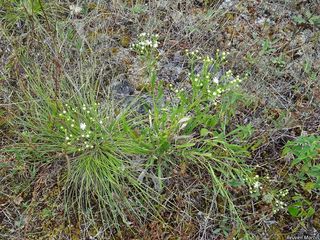 3472_SOLIPTA_503 thumbnail