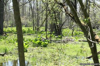 2681_SYMPFOE_8071 thumbnail