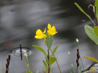 6501_UTRICOR_503 thumbnail