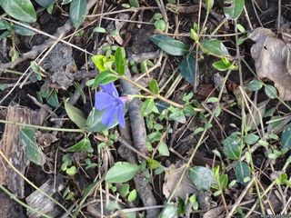 2665_VINCMIN_505 thumbnail