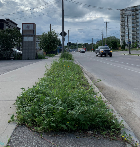 Boulevard Gardening