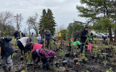 Community members plant trees in Terra Nova Rural Park, B.C. (Photo: Tori Fitzpatrick/Can Geo)