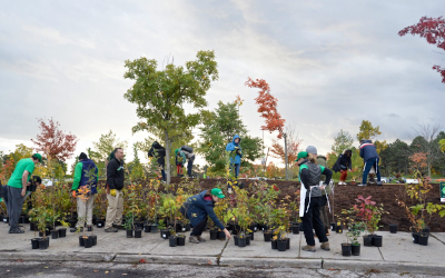 Volunteers gather at the Toronto Zoo to help plant trees as part of the launch of Network of Nature. (Photo: Madigan Cotterill/Can Geo) 